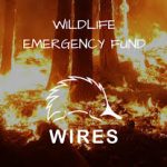 wildfire-emergency-fund